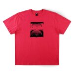 WASHED CHERRY
