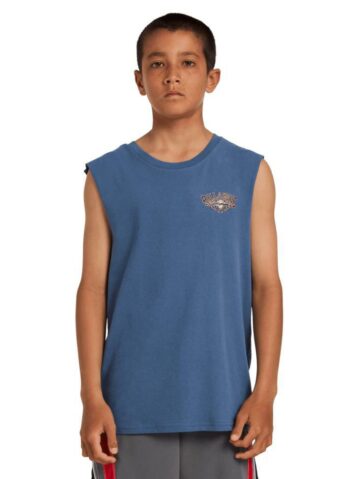 Billabong Boys Heritage Arch Muscle